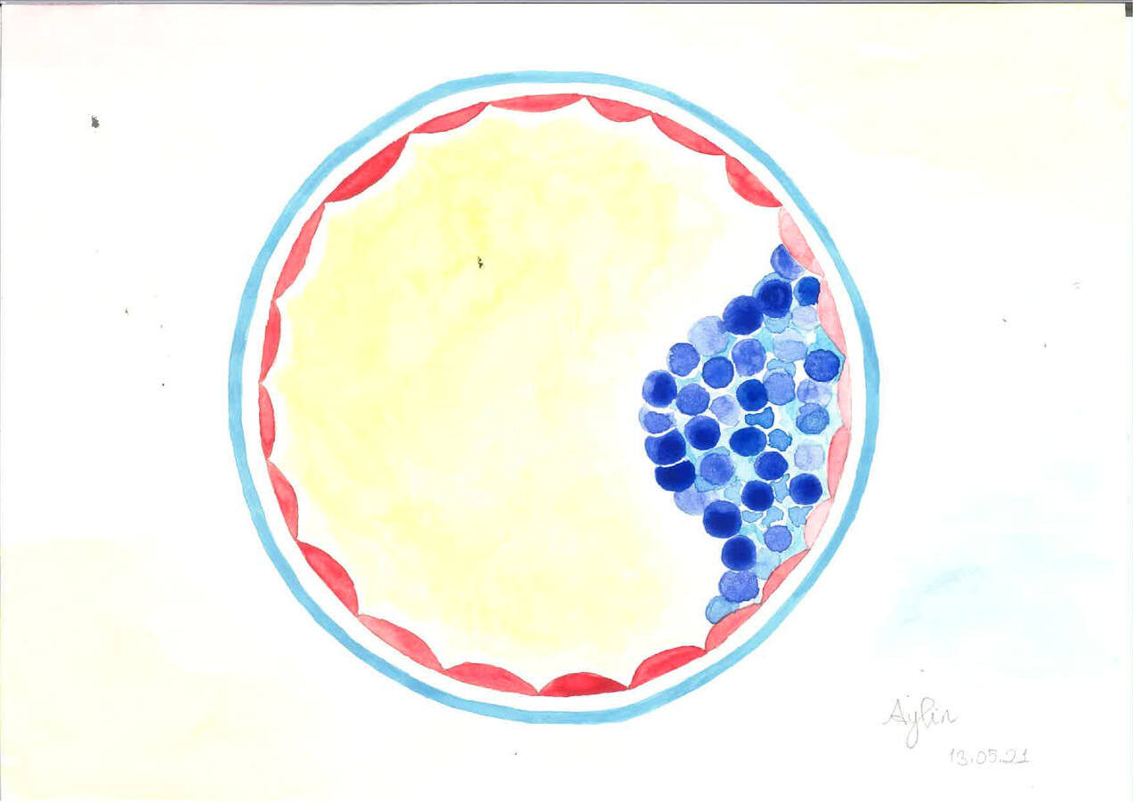 Watercolor Histology Art – Yucar Lab