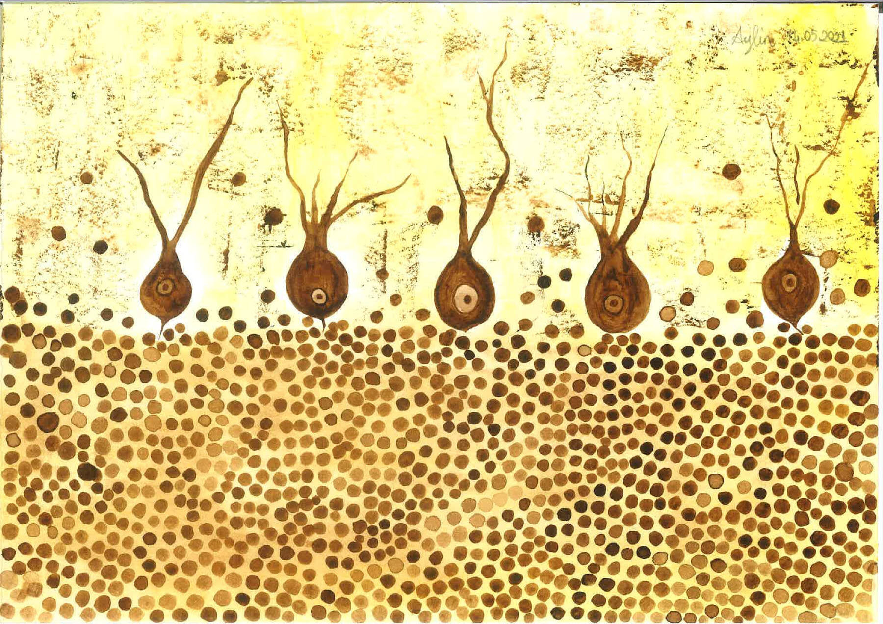 Watercolor Histology Art – Yucar Lab