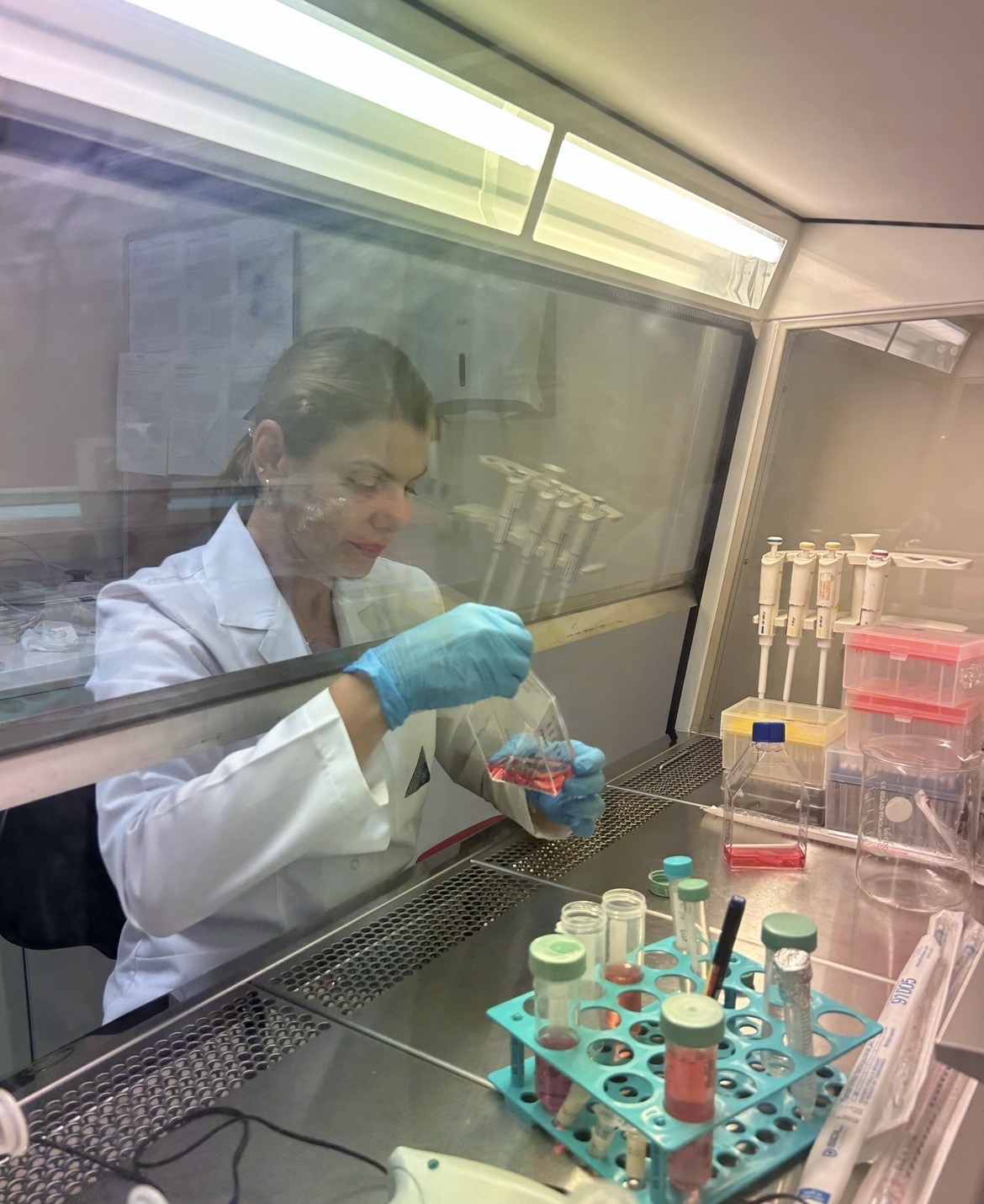 Cell Culture and Image Analysis